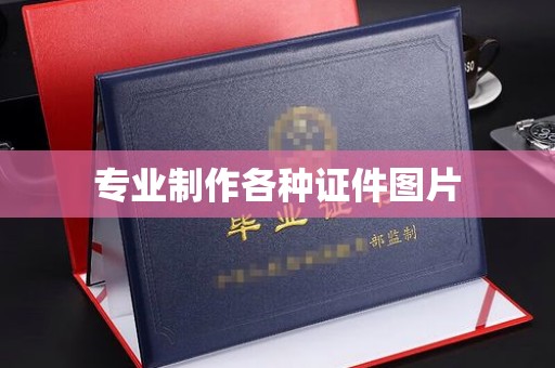 海晏专业制作各种证件图片