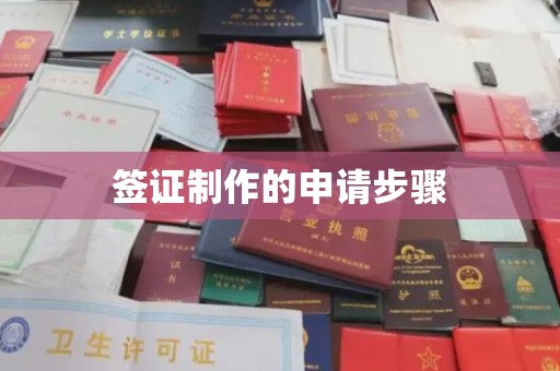 海晏签证制作的申请步骤