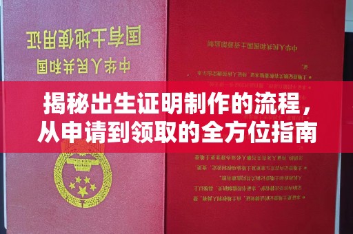 海晏揭秘出生证明制作的流程，从申请到领取的全方位指南