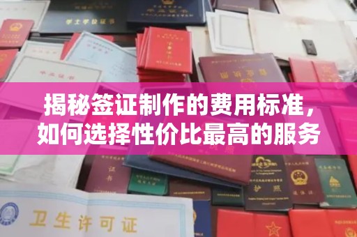 海晏揭秘签证制作的费用标准，如何选择性价比最高的服务？