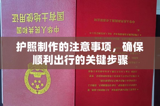 海晏护照制作的注意事项，确保顺利出行的关键步骤